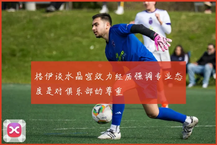 格伊谈水晶宫效力经历强调专业态度是对俱乐部的尊重